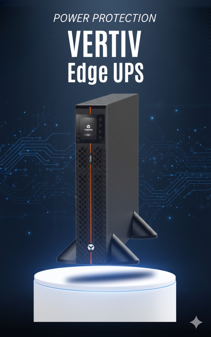 Empower Your Growth With